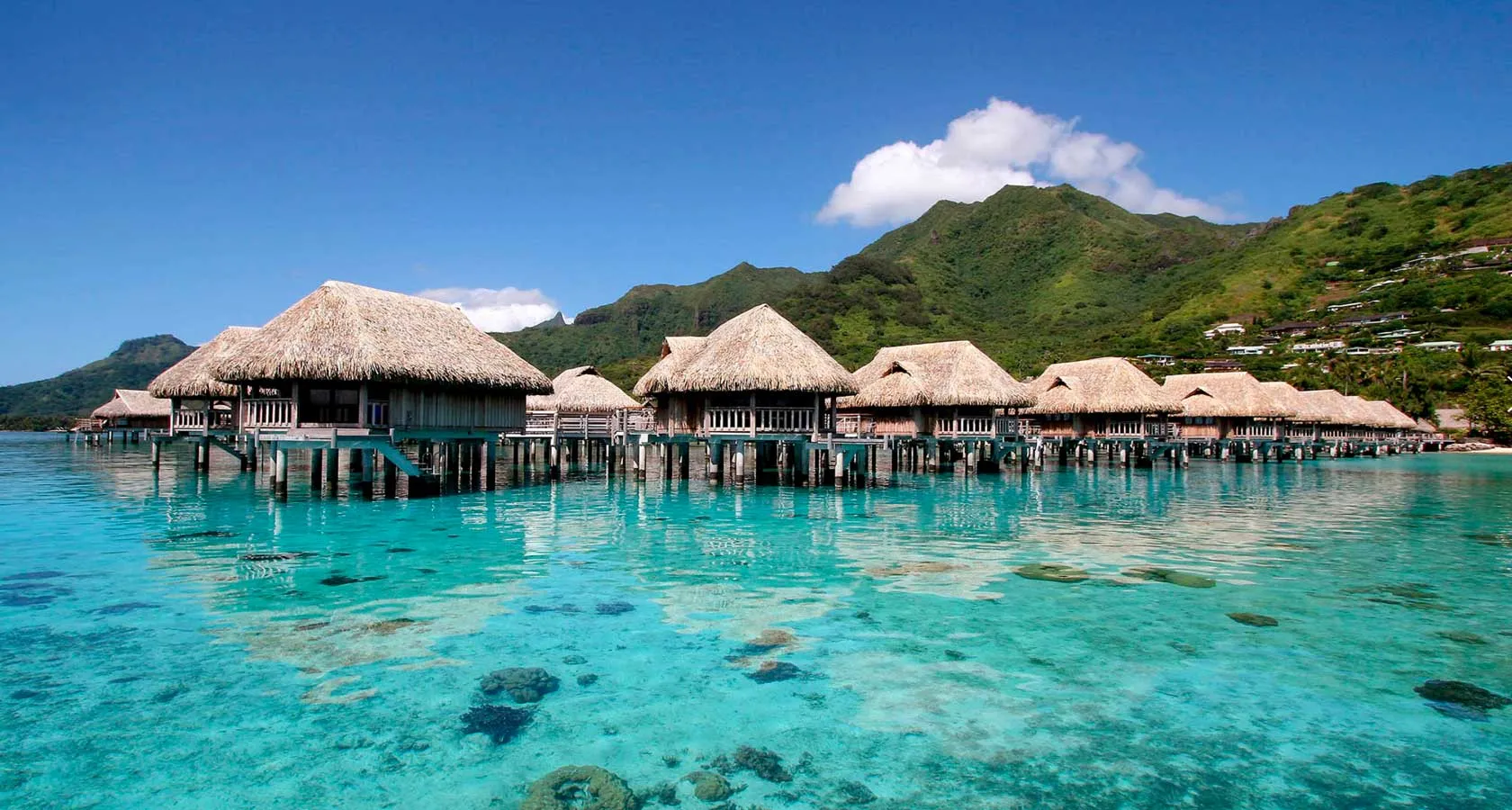 6277 bora bora honeymoon resort luxury
